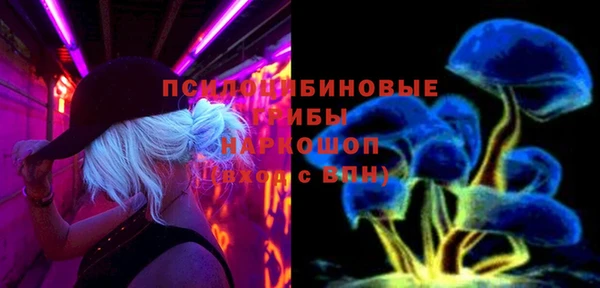 крисы Алексеевка