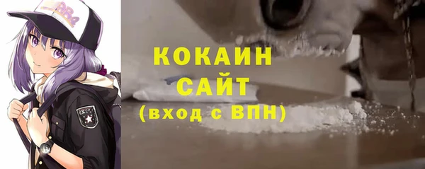 соль ск Алексин