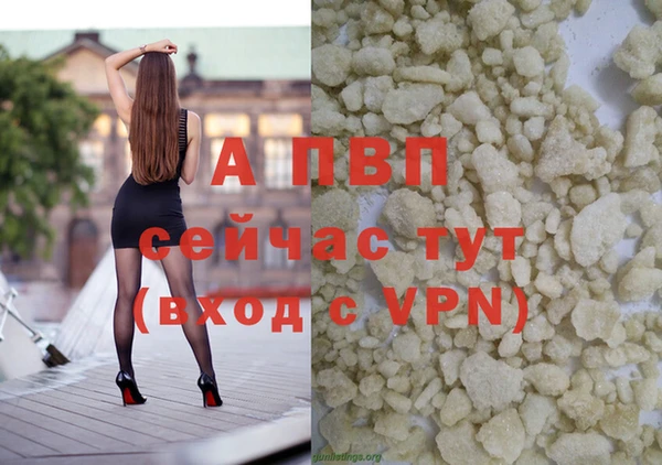 соль ск Алексин