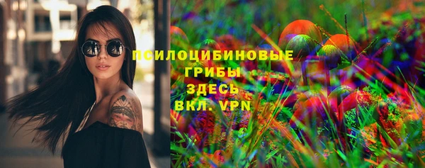 соль ск Алексин